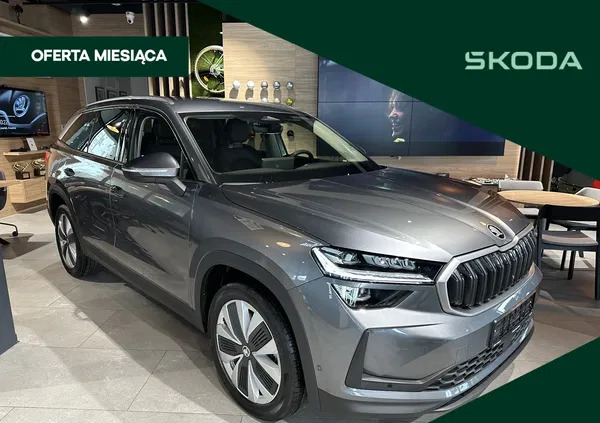 mazowieckie Skoda Kodiaq cena 231750 przebieg: 5, rok produkcji 2024 z Suraż